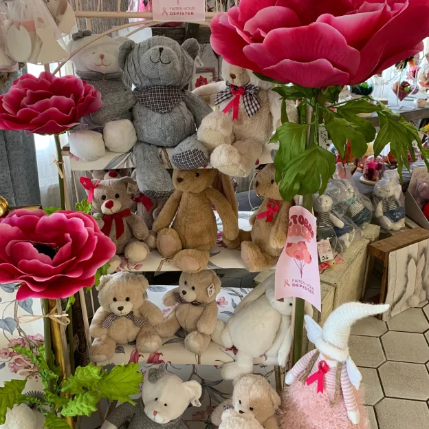 peluches à Domérat près de Montluçon dans l'Allier 03